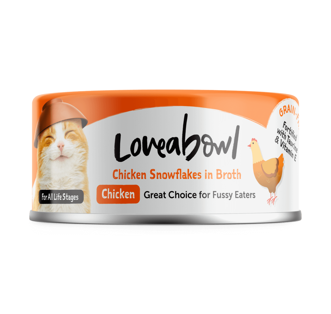 C Chicken