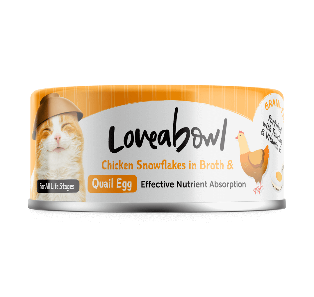 C Quail Egg