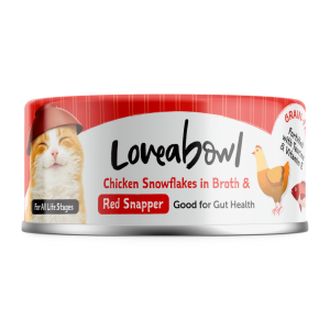 Chicken Snowflakes in Broth with Red Snapper