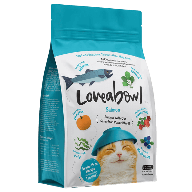 Dried Cat Food