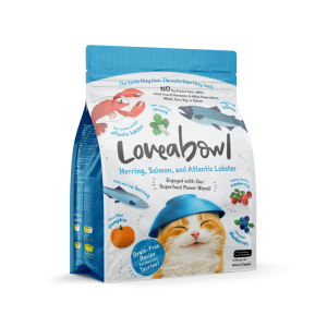 Herring Salmon and Atlantic Lobster