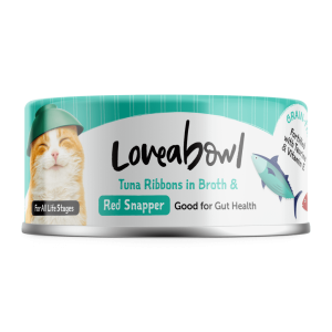 Tuna Ribbons in Broth with Red Snapper